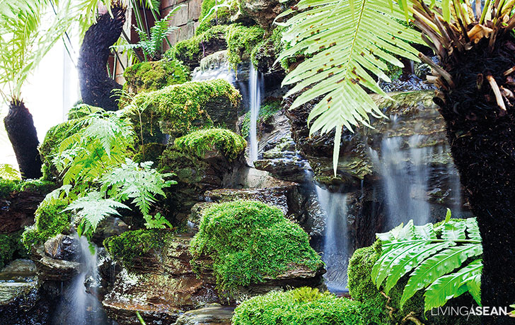 the house of rainforest garden the house of rainforest garden