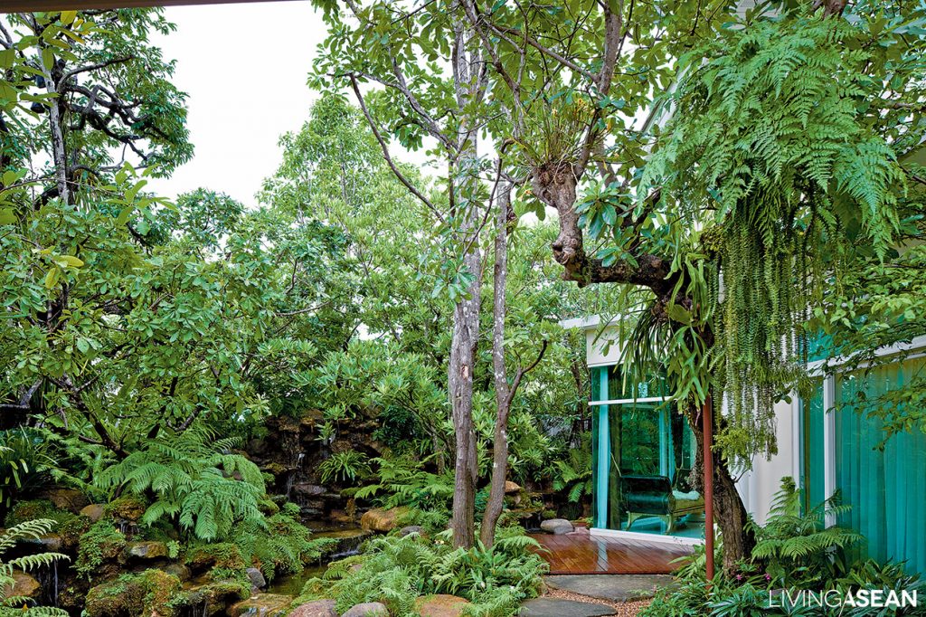 rainy season forest garden for tropical areas living asean rainy season forest garden for tropical areas living asean