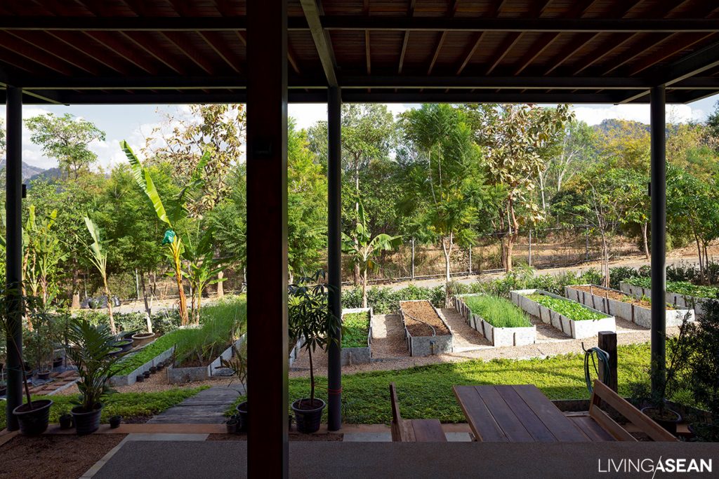 kannika rattanapreedakul of spacetime architects named this house baan phu patra after the khao yai housing development where its located - Modern Tropical House Design kannika rattanapreedakul of spacetime architects named this house baan phu patra after the khao yai housing development where its located - Modern Tropical House Design